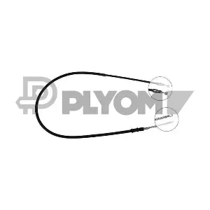 P763179 PLYOM