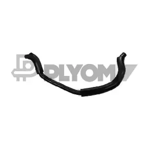 P036043 PLYOM
