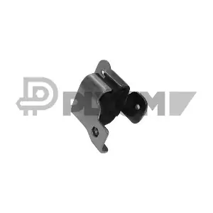 P021479 PLYOM