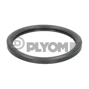 P952047 PLYOM