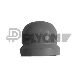 P482507 PLYOM
