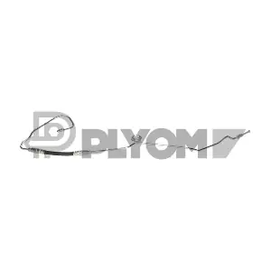 P777913 PLYOM