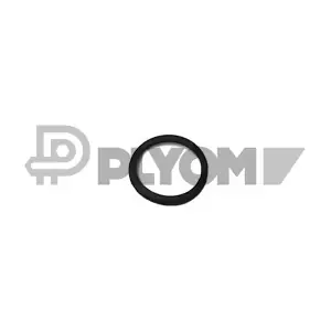 P952042 PLYOM