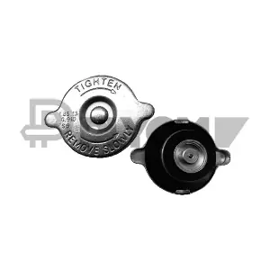 P954089 PLYOM