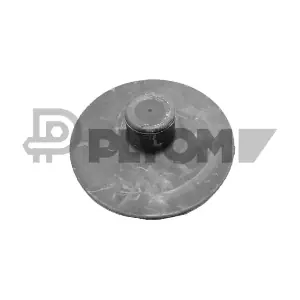 P021308 PLYOM