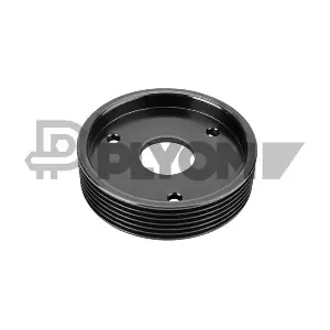 P759712 PLYOM