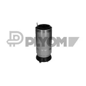 P752867 PLYOM