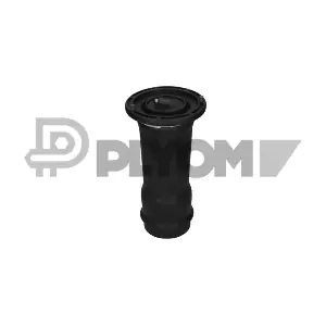 P753336 PLYOM