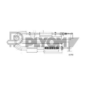 P019061 PLYOM