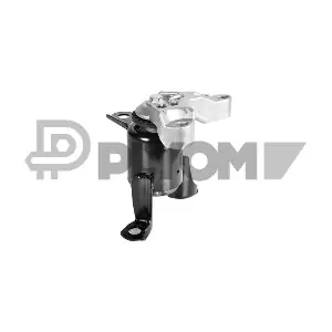 P755951 PLYOM