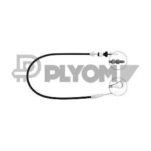 P762899 PLYOM