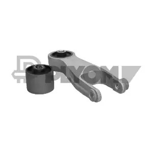 P766467 PLYOM
