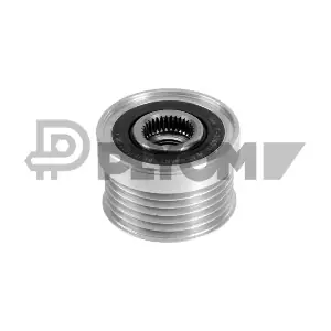 P210903 PLYOM