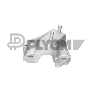 775661 PLYOM
