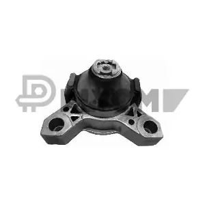 P081266 PLYOM