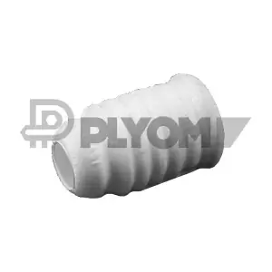 PLYOM P031724