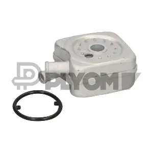 P462419 PLYOM