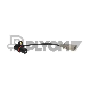 P770317 PLYOM