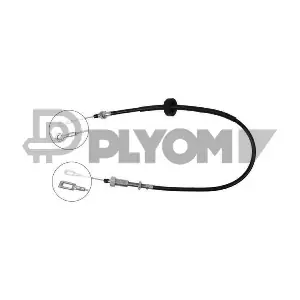 PLYOM P038499