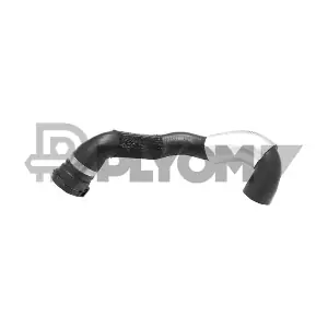 P754378 PLYOM