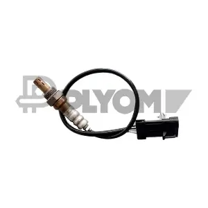 PLYOM P755119