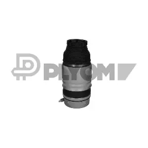 P752943 PLYOM