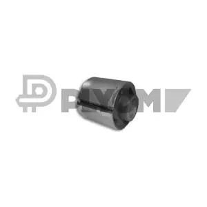 460198 PLYOM