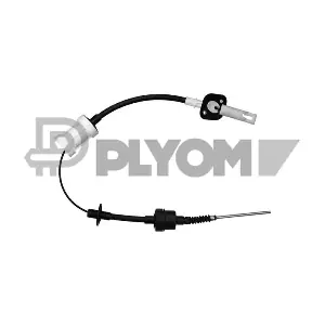 P018923 PLYOM