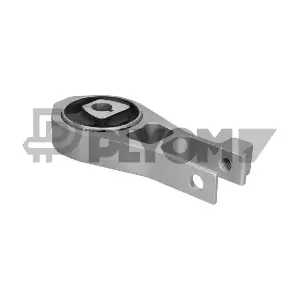 P769800 PLYOM