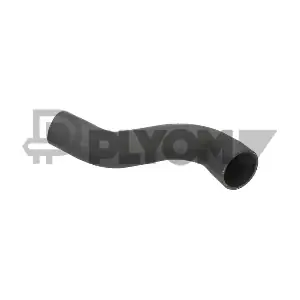 PLYOM P036718