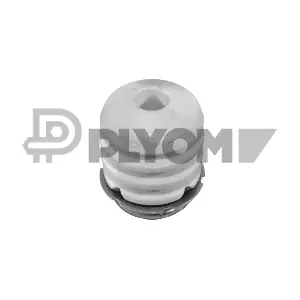 P770112 PLYOM