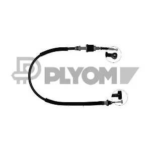 P762850 PLYOM