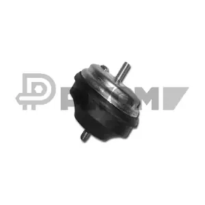 P480499 PLYOM