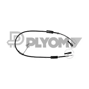 P088001 PLYOM
