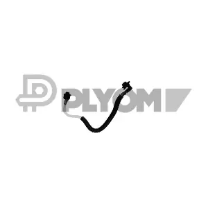 775591 PLYOM