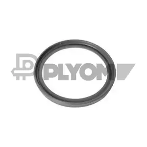 773504 PLYOM