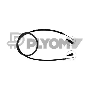 P038477 PLYOM
