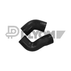 P771004 PLYOM