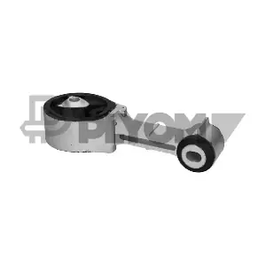 P021509 PLYOM