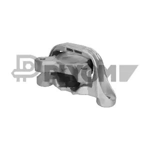 P081024 PLYOM