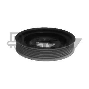 P480909 PLYOM