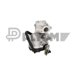 P772497 PLYOM