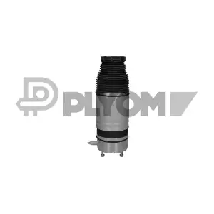 P752951 PLYOM
