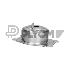 P482527 PLYOM