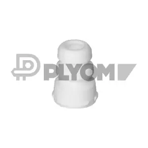 P750289 PLYOM
