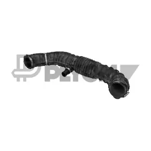 P775565 PLYOM