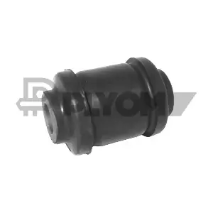 PLYOM P755406
