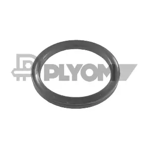 PLYOM P751987