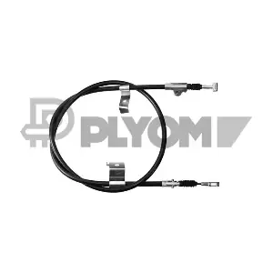 P069001 PLYOM