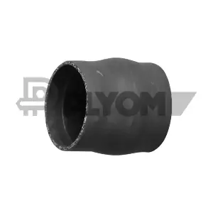 P752899 PLYOM